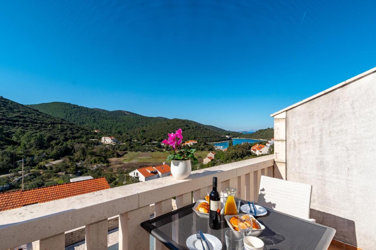 Villa Castello Zrnovo エクステリア 写真