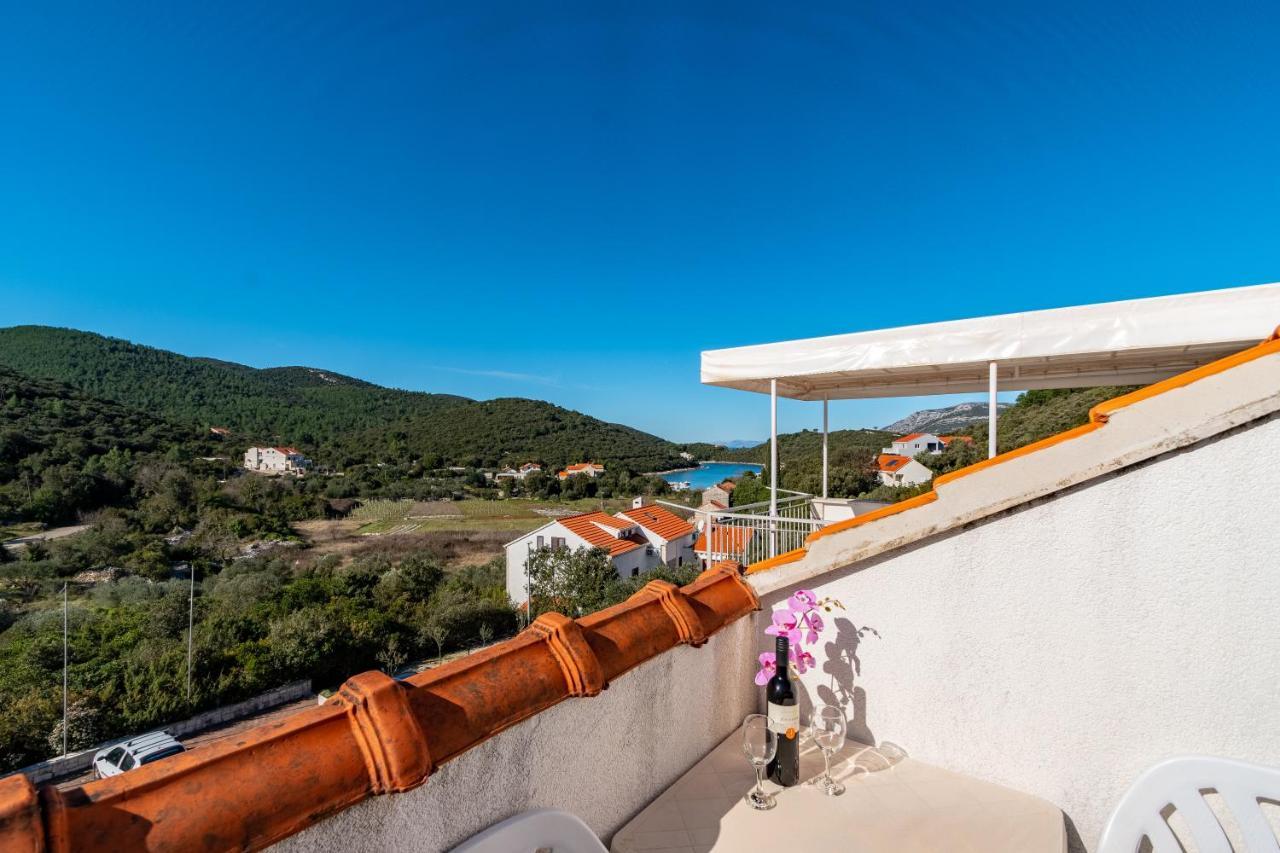 Villa Castello Zrnovo エクステリア 写真