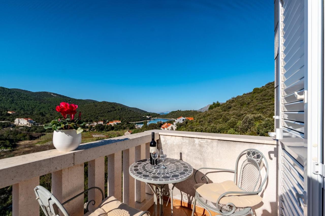 Villa Castello Zrnovo エクステリア 写真